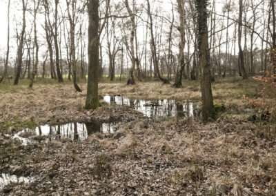 Selbst im Wald gibt es nasse Füsse.